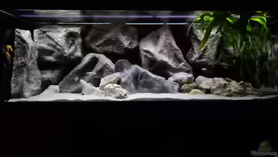 Becken 27776 von ivi