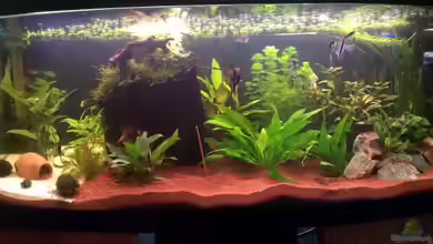 Becken 27803 von Jan H.