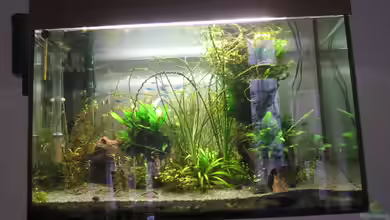 Becken 27839 von sajo007