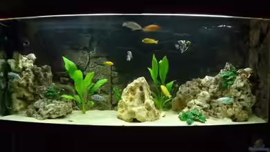 Becken 27926 von Aspel82