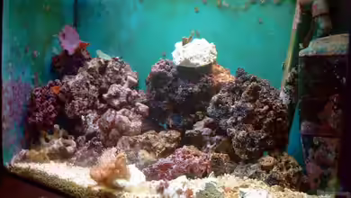 Becken 2870 von Christian Dresel