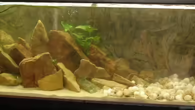 Becken 2883 von Susanne Gillig