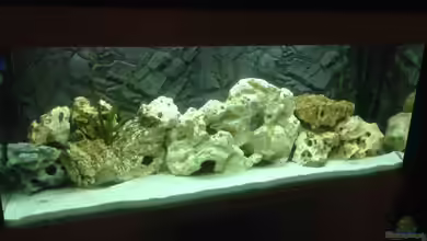 Becken 28877 von Rickschaman