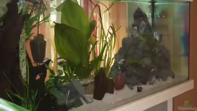 Becken 2903 von Stefan Matz