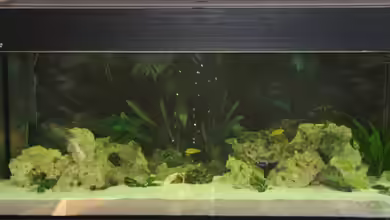 Becken 2912 von Peter Kretschmer