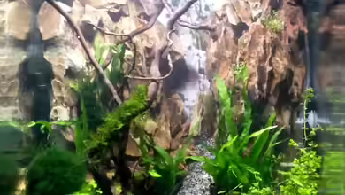 Becken 29132 von Nano Sonny