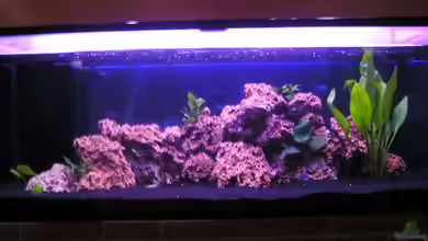 Becken 2915 von Andrea + Marc Müller