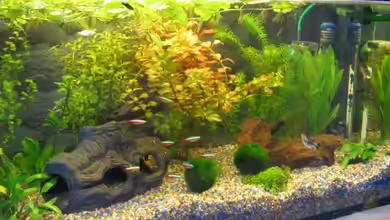 Becken 2926 von Daniel Eder