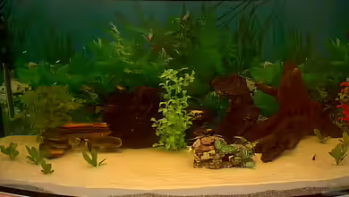 Becken 2970 von Robert Schröder