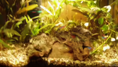 Becken 2980 von Sandro Iffert