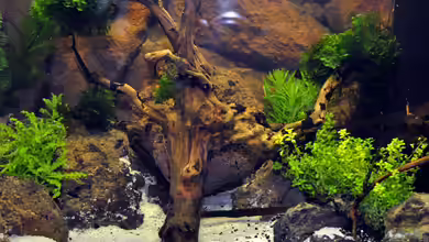 Becken 29837 von Niederrain