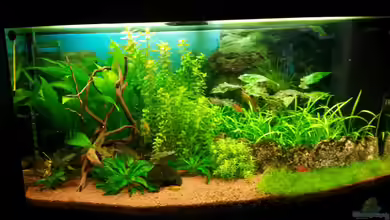 Becken 3 von Tobias H.