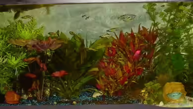 Becken 3003 von Sabine Stark