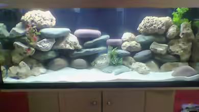 Becken 3025 von Thomas Hilsberg