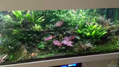 Becken 30681 von Olle696