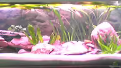 Becken 307 von Jörg Götze