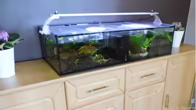 Becken 30779 von ob64