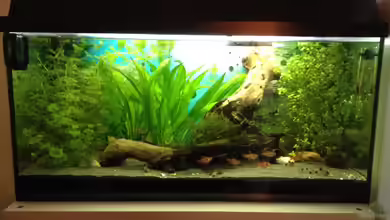 Becken 30811 von Quasi