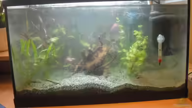 Becken 30914 von markus28