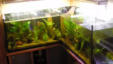 Becken 3106 von Gerhard Schwab