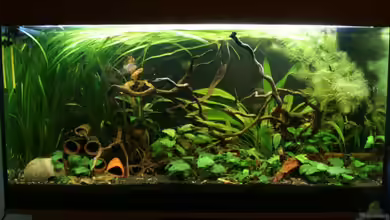 Becken 3121 von Oxid81