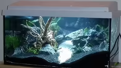 Becken 31223 von Astrid Heinsohn