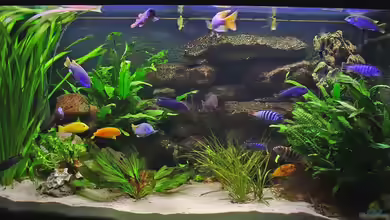 Becken 313 von Andrea Wendel