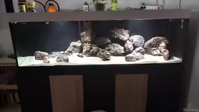 Becken 31478 von Marcel Müller