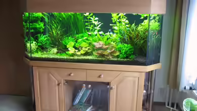 Becken 3174 von Andre Stechert