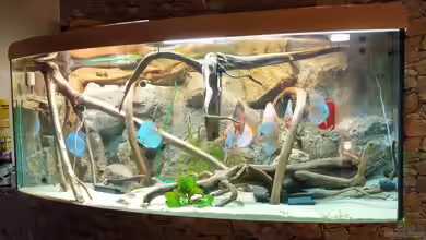 Becken 31764 von Oliver Boden