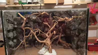 Becken 32076 von Dülla