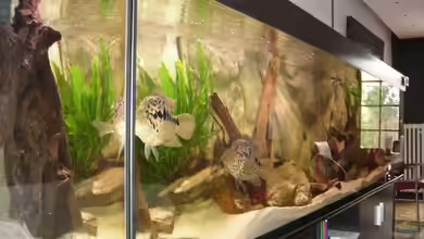 Becken 3221 von Marc Adrian