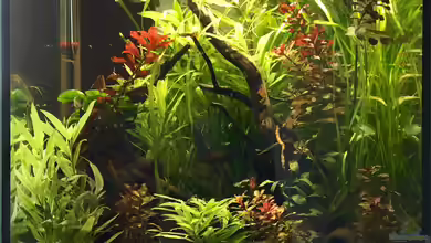 Becken 32366 von eesee