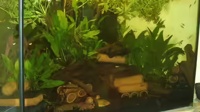 Becken 3238 von Holger Bertram