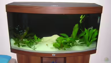 Becken 3242 von Michael Stickel