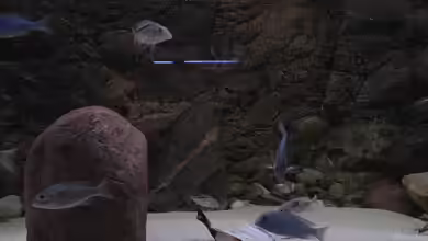 Becken 3244 von Frank Muelder