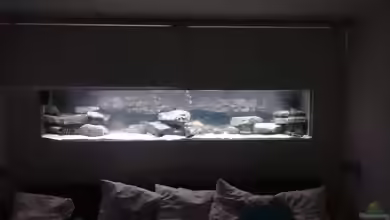 Becken 32521 von Jens Teichert