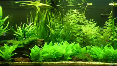 Becken 3258 von Maximilian Zunhammer