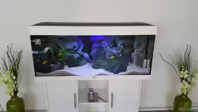 Becken 32640 von Chrille1904