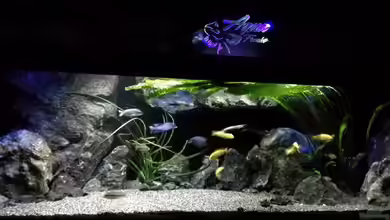 Becken 32689 von Heike Fuchs