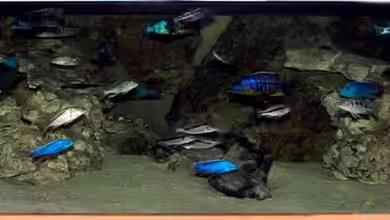 Becken 327 von Heiko Gröschel