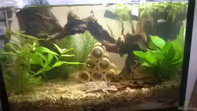 Becken 32880 von garnelchen