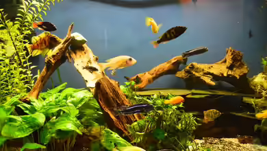 Becken 32945 von Ulf Penderock