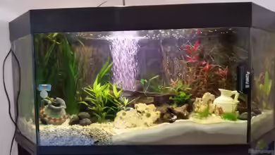 Becken 33056 von SvenDerGroße