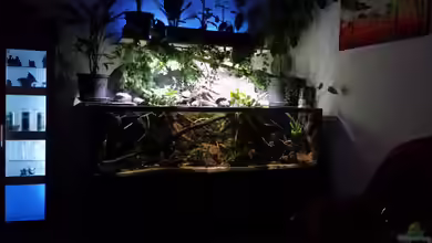 Becken 33203 von Micha Zoschke