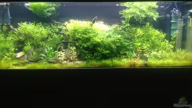 Becken 33273 (aufgelöst) von Dominik Wexenberger