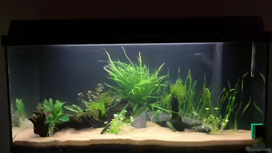 Becken 33407 von franky2608