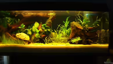 Becken 3359 von Johannes Hemmer