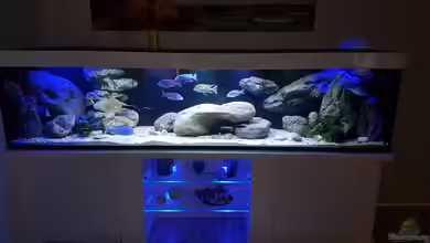 Becken 33767 von Heiko W.