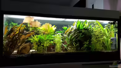 Becken 33864 von Sunnyboy_72